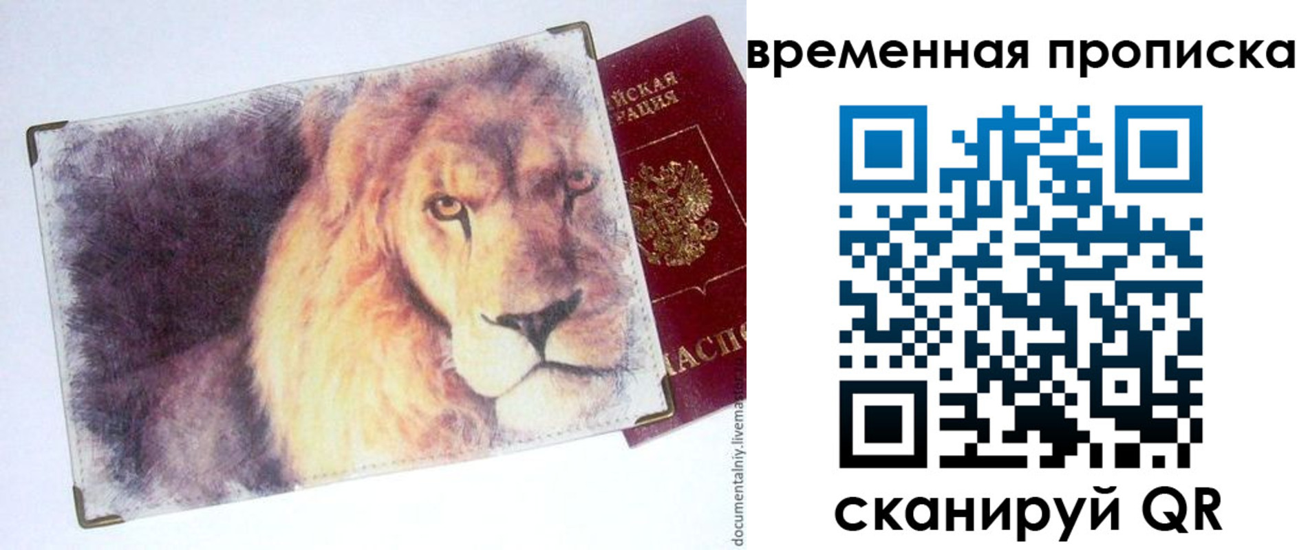 временная регистрация для школы в Тольятти